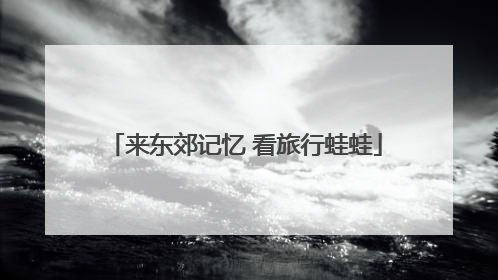 来东郊记忆 看旅行蛙蛙