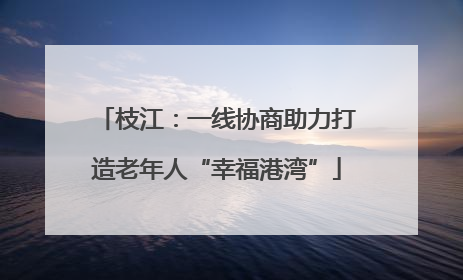 枝江：一线协商助力打造老年人“幸福港湾”