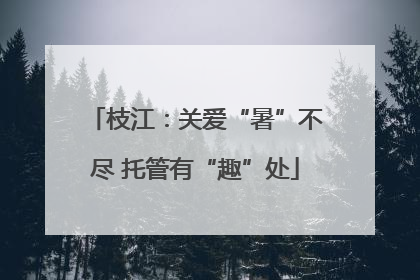 枝江：关爱“暑”不尽 托管有“趣”处
