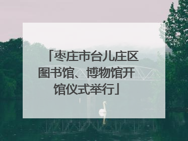 枣庄市台儿庄区图书馆、博物馆开馆仪式举行