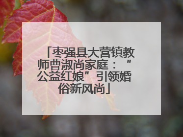 枣强县大营镇教师曹淑尚家庭：“公益红娘”引领婚俗新风尚