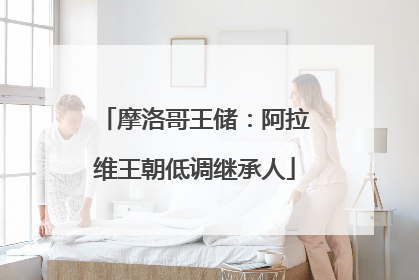 摩洛哥王储：阿拉维王朝低调继承人