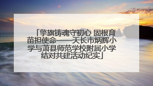 擎旗铸魂守初心 固根育苗担使命——天长市炳辉小学与萧县师范学校附属小学结对共建活动纪实