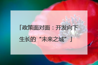 政策面对面：开发向下生长的“未来之城”