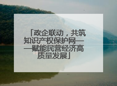 政企联动，共筑知识产权保护网——赋能民营经济高质量发展