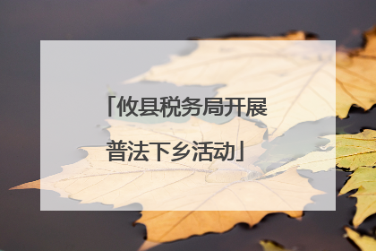 攸县税务局开展普法下乡活动