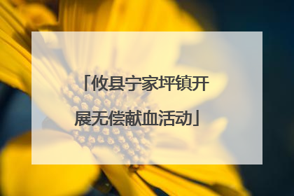 攸县宁家坪镇开展无偿献血活动