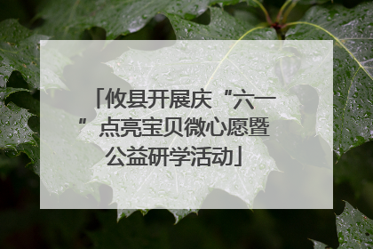 攸县开展庆“六一”点亮宝贝微心愿暨公益研学活动