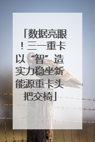 数据亮眼！三一重卡以“智”造实力稳坐新能源重卡头把交椅
