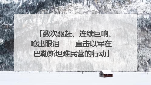 数次驱赶、连续巨响、呛出眼泪——直击以军在巴勒斯坦难民营的行动