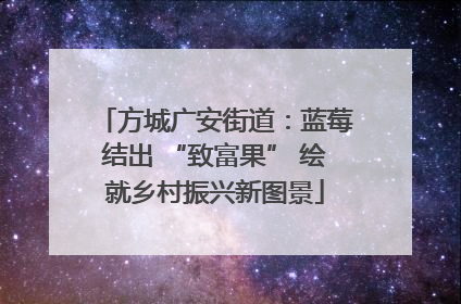 方城广安街道：蓝莓结出 “致富果” 绘就乡村振兴新图景