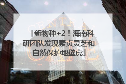 新物种+2！海南科研团队发现素贞灵芝和自然保护地壁虎