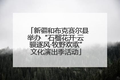 新疆和布克赛尔县举办“石榴花开·云骥逐风·牧野欢歌”文化演出季活动