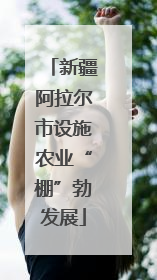 新疆阿拉尔市设施农业“棚”勃发展