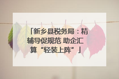 新乡县税务局：精辅导促规范 助企汇算“轻装上阵”