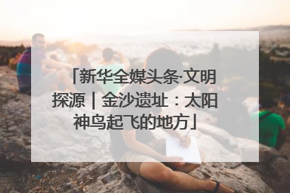 新华全媒头条·文明探源｜金沙遗址：太阳神鸟起飞的地方