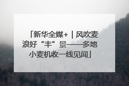 新华全媒+｜风吹麦浪好“丰”景——多地小麦机收一线见闻
