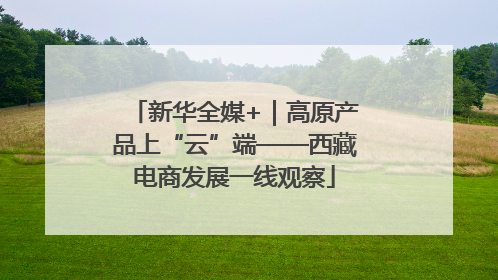 新华全媒+｜高原产品上“云”端——西藏电商发展一线观察