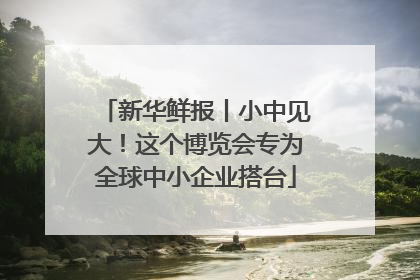 新华鲜报丨小中见大！这个博览会专为全球中小企业搭台