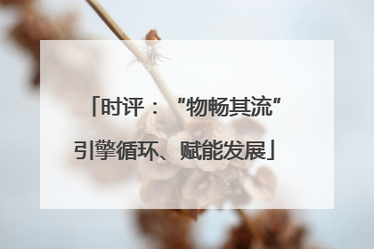 时评：“物畅其流”引擎循环、赋能发展