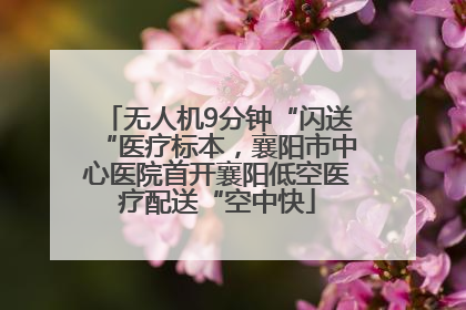 无人机9分钟“闪送“医疗标本，襄阳市中心医院首开襄阳低空医疗配送“空中快