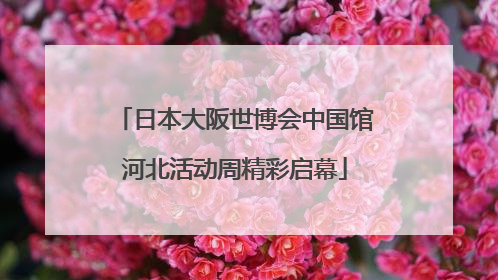 日本大阪世博会中国馆河北活动周精彩启幕