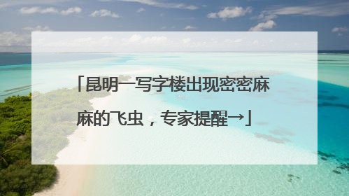 昆明一写字楼出现密密麻麻的飞虫，专家提醒→