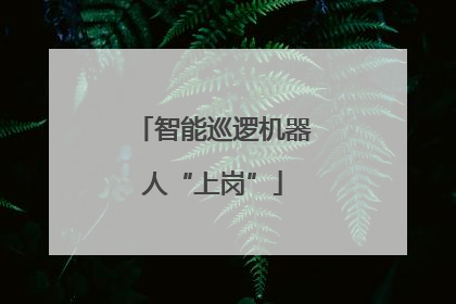 智能巡逻机器人“上岗”