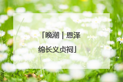 晚潮｜恩泽绵长义贞祠