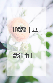 晚潮｜豆蔻往事
