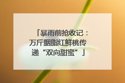 暴雨前抢收记：万斤胭脂红鲜桃传递“双向甜蜜”