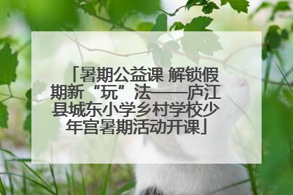 暑期公益课 解锁假期新“玩”法——庐江县城东小学乡村学校少年宫暑期活动开课