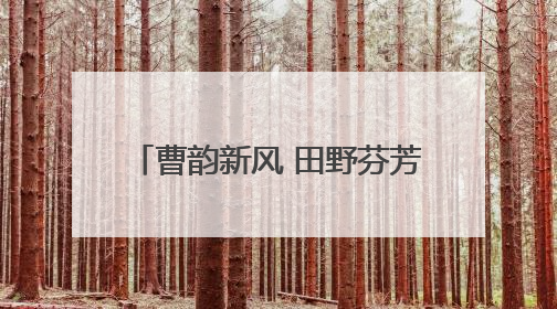 曹韵新风 田野芬芳 菏泽曹县2025年乡村歌唱大赛（东部赛区复赛）举办