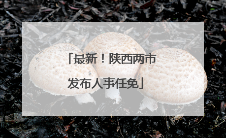 最新！陕西两市发布人事任免