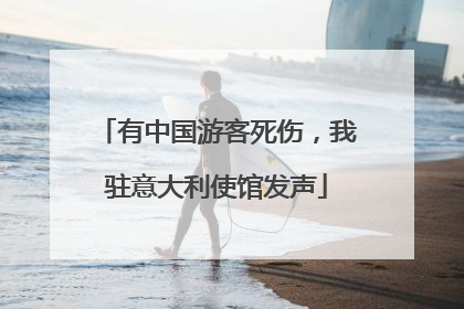 有中国游客死伤，我驻意大利使馆发声