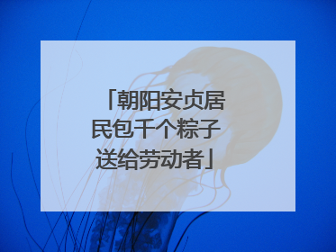 朝阳安贞居民包千个粽子送给劳动者