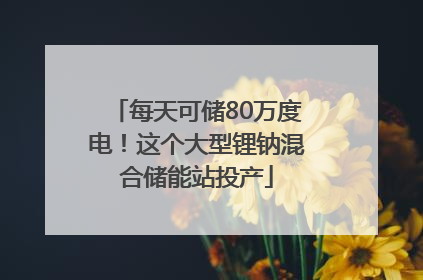 每天可储80万度电！这个大型锂钠混合储能站投产
