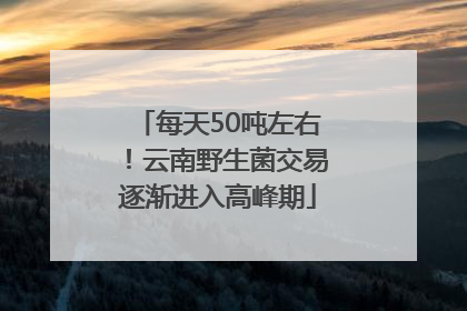 每天50吨左右！云南野生菌交易逐渐进入高峰期
