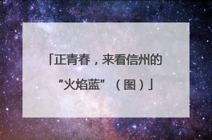 正青春，来看信州的“火焰蓝”（图）