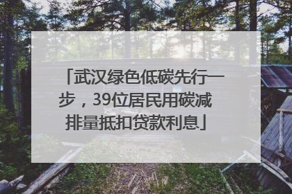 武汉绿色低碳先行一步，39位居民用碳减排量抵扣贷款利息