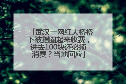 武汉一网红大桥桥下被指圈起来收费，进去100块还必须消费？当地回应