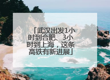 武汉出发1小时到合肥、3小时到上海，这条高铁有新进展