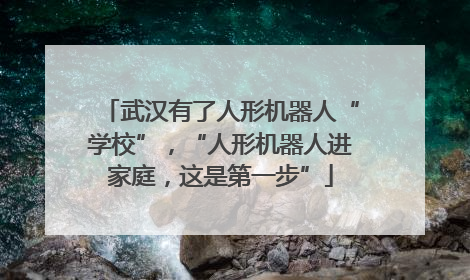 武汉有了人形机器人“学校”，“人形机器人进家庭，这是第一步”