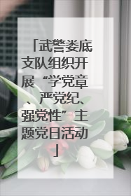 武警娄底支队组织开展“学党章、严党纪、强党性”主题党日活动