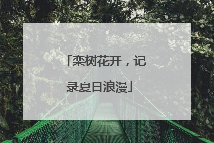 栾树花开，记录夏日浪漫