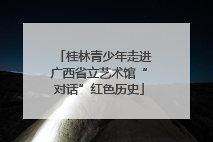 桂林青少年走进广西省立艺术馆“对话”红色历史