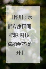 桦川：水稻专家田间把脉 科技赋能单产提升