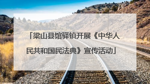 梁山县馆驿镇开展《中华人民共和国民法典》宣传活动