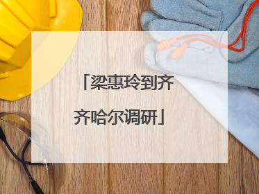 梁惠玲到齐齐哈尔调研