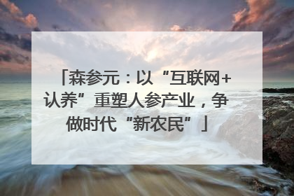 森参元：以“互联网+认养”重塑人参产业，争做时代“新农民”